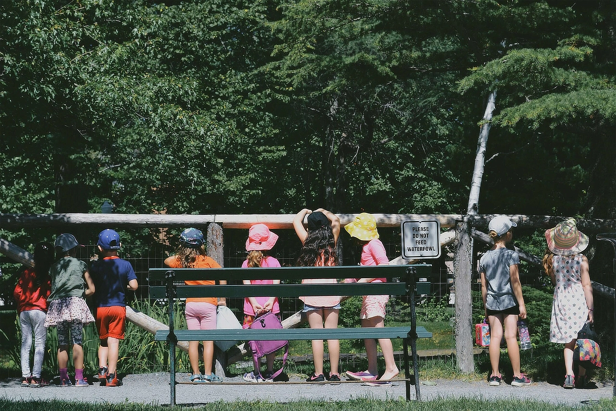 Children on a bridge overlooking a pond.